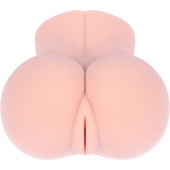 Мастурбатор-полуторс Ella без вибрации - KOKOS - в Нальчике купить с доставкой Мастурбатор-полуторс Ella без вибрации - KOKOS - в Нальчике купить с доставкой