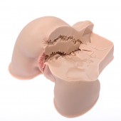 Мастурбатор-полуторс Naked Factory Kate - Naked Factory - в Нальчике купить с доставкой