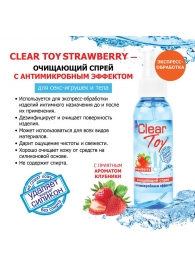 Очищающий спрей для игрушек CLEAR TOY Strawberry - 100 мл. - Биоритм - купить с доставкой в Нальчике