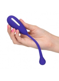 Фиолетовый шарик с электростимуляцией и вибрацией Intimate E-Stimulator Remote Kegel Exerciser - California Exotic Novelties - купить с доставкой в Нальчике