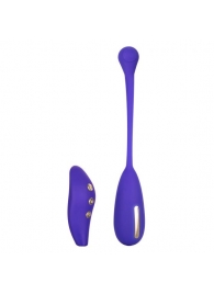 Фиолетовый шарик с электростимуляцией и вибрацией Intimate E-Stimulator Remote Kegel Exerciser - California Exotic Novelties - купить с доставкой в Нальчике