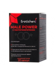 Капсулы для мужчин Erotichard male power с пантогематогеном - 20 капсул (0,370 гр.) - Erotic Hard - купить с доставкой в Нальчике