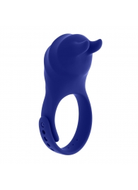 Синее эрекционное виброкольцо с клиторальной подушечкой и пультом ДУ Adjustable Fun Ring - Zero Tolerance - в Нальчике купить с доставкой