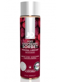 Лубрикант на водной основе с ароматом малины JO Flavored Raspberry Sorbet - 120 мл. - System JO - купить с доставкой в Нальчике