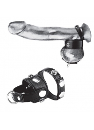 Утяжка для мошонки и пениса Cock Ring With 1  Ball Stretcher And Optional Weight Ring - BlueLine - купить с доставкой в Нальчике