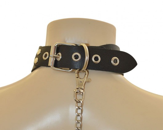 Ошейник  Веселый Роджер - Sitabella - купить с доставкой в Нальчике