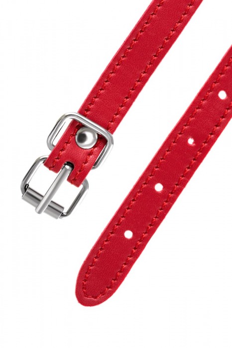 Красная маска Anonymo из искусственной кожи - ToyFa - купить с доставкой в Нальчике