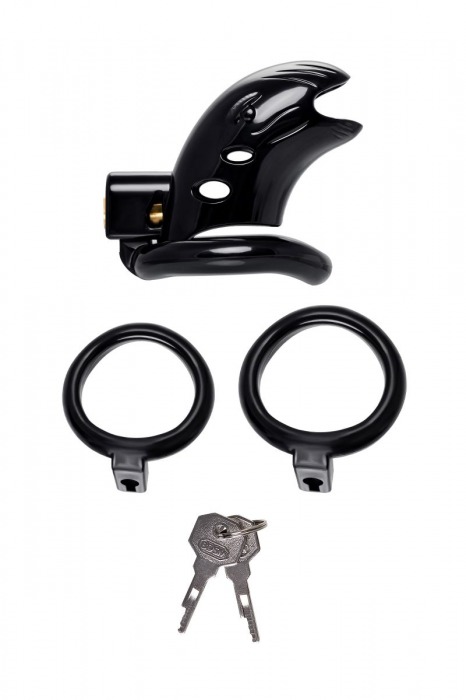 Черный мужской пояс верности из пластика - ToyFa - купить с доставкой в Нальчике