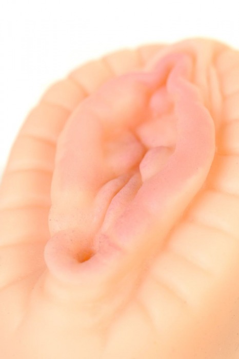 Тугой фигурный мастурбатор-вагина - ToyFa - в Нальчике купить с доставкой Тугой фигурный мастурбатор-вагина - ToyFa - в Нальчике купить с доставкой