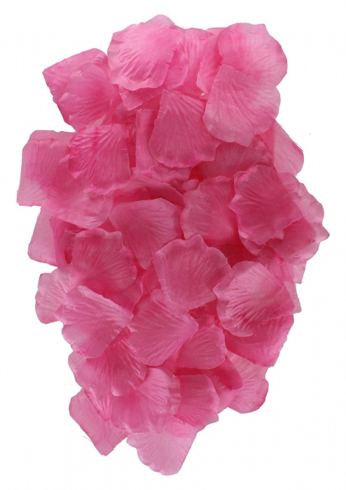 Эротический набор FANTASTIC PURPLE SEX TOY KIT - Toy Joy - купить с доставкой в Нальчике