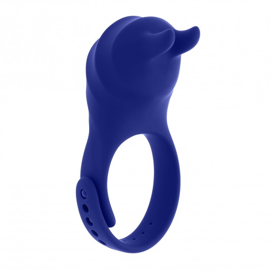 Синее эрекционное виброкольцо с клиторальной подушечкой и пультом ДУ Adjustable Fun Ring - Zero Tolerance - в Нальчике купить с доставкой