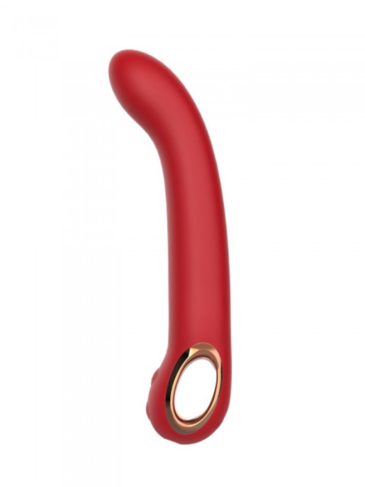 Красный силиконовый вибратор с загнутым кончиком - 22,1 см. - Secwell купить в Нальчике с доставкой в Orgasmix.ru Красный силиконовый вибратор с загнутым кончиком - 22,1 см. - Secwell