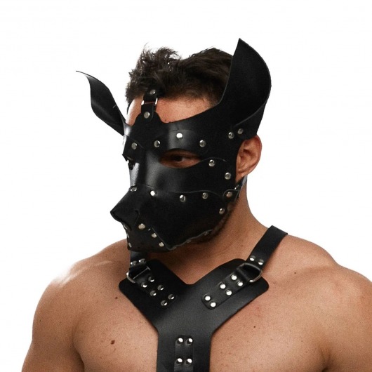 Черная кожаная маска «Собака» - Crazy Handmade - купить с доставкой в Нальчике
