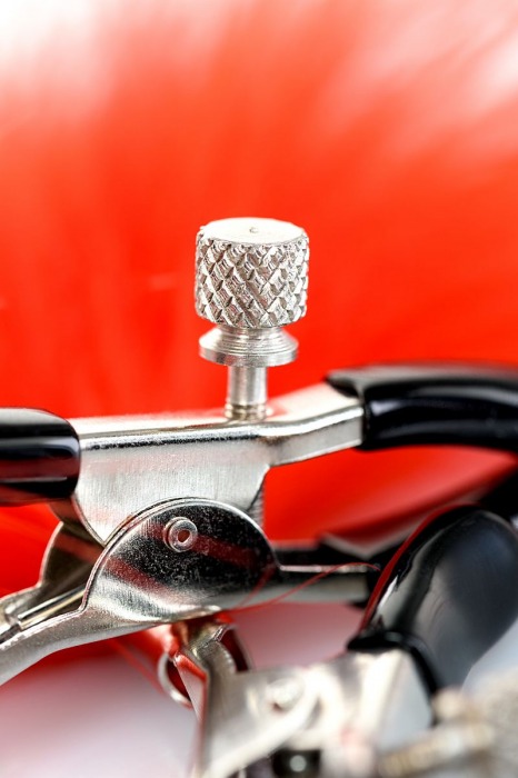 Зажимы для сосков с красным пухом Theatre - ToyFa - купить с доставкой в Нальчике