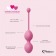 Набор из 3 розовых вагинальных шариков FemmeFit Advanced Pelvic Muscle Training Set - FeelzToys